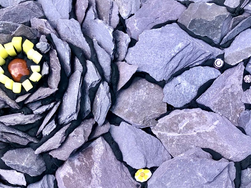 Learning from the experts: Rachel&nbsp;Davies